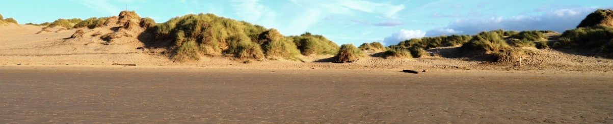 mersey