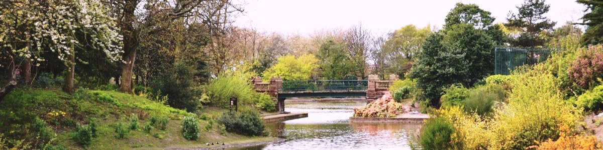 stanley park anfield