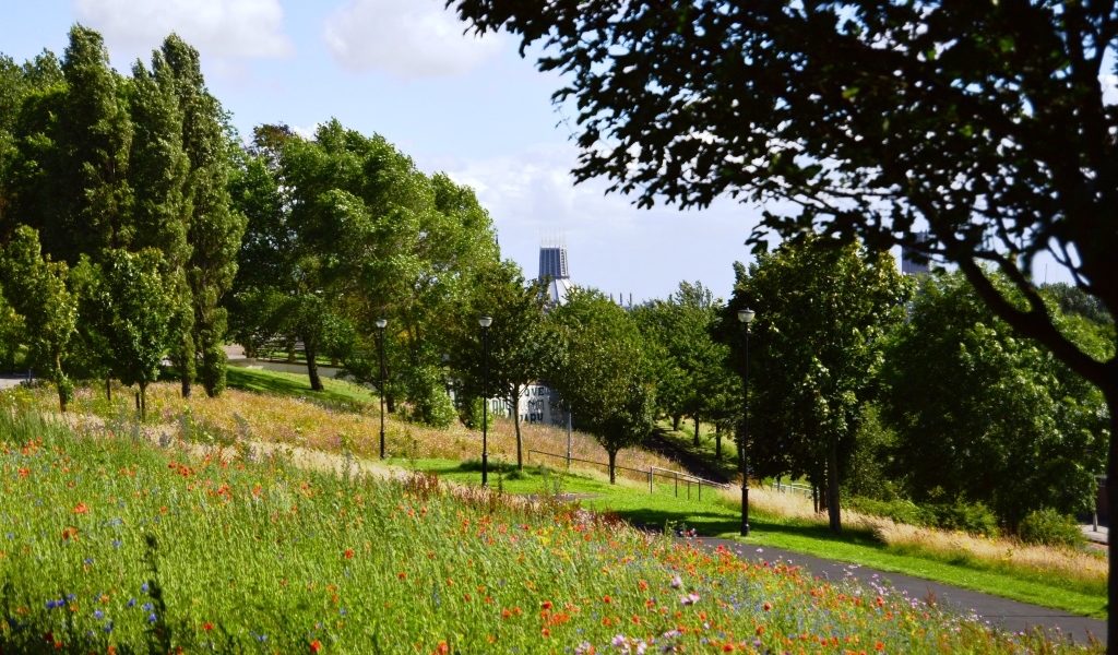everton park liverpool