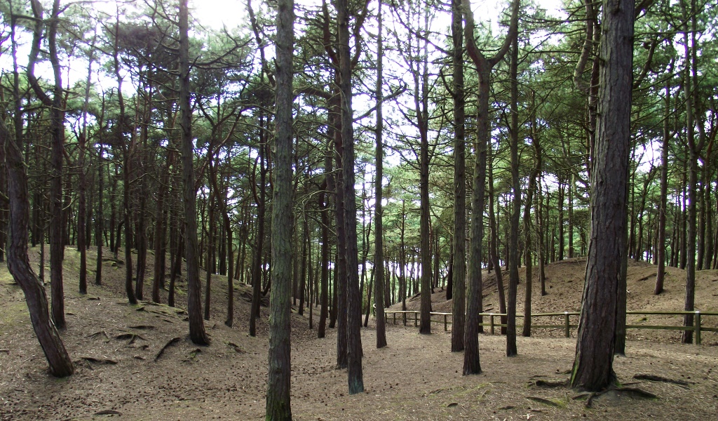 Formby beach