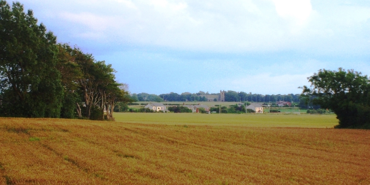 cross farm